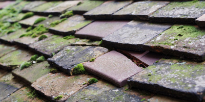 Hightown roof repair costs